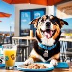 Best Pet-Friendly Eateries in DC