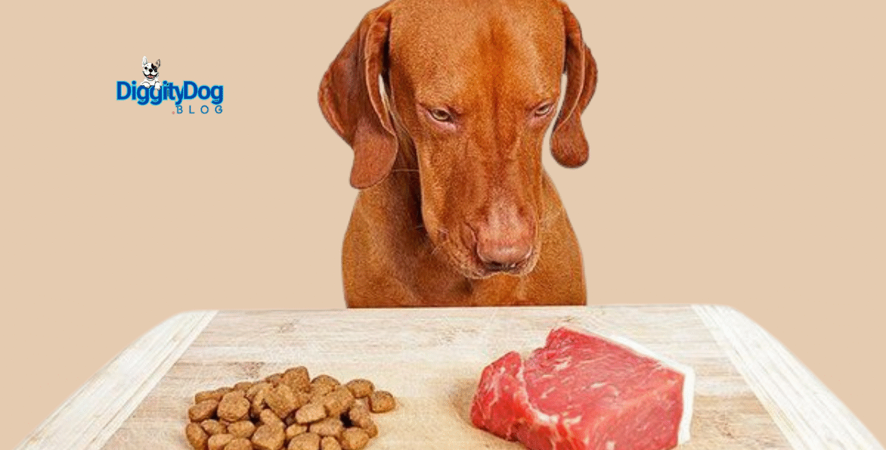 a Raw Food Diet for Dogs