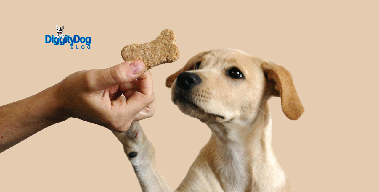 Healthy Snacks for Dogs