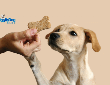 Healthy Snacks for Dogs