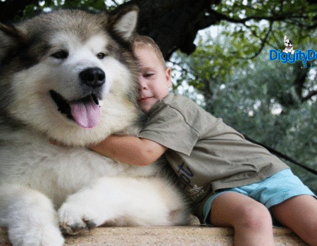 Welcome Your New Dog Home