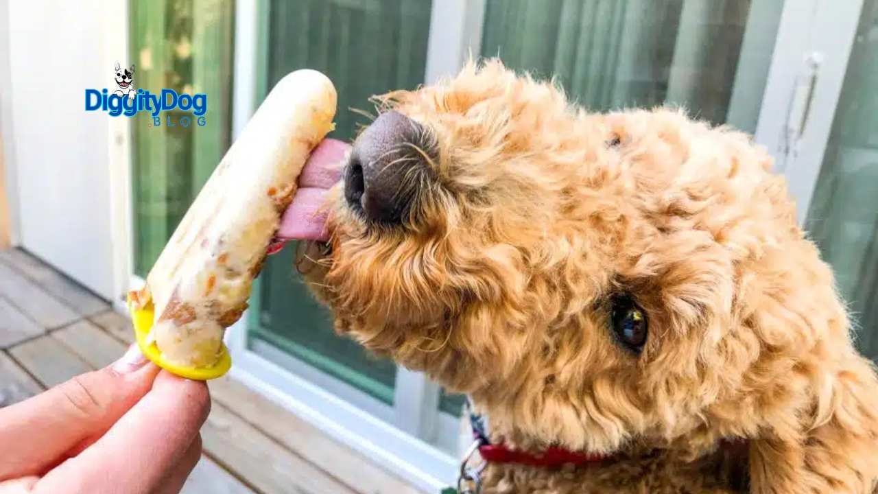 Frozen Cat and Dog Treat Recipes