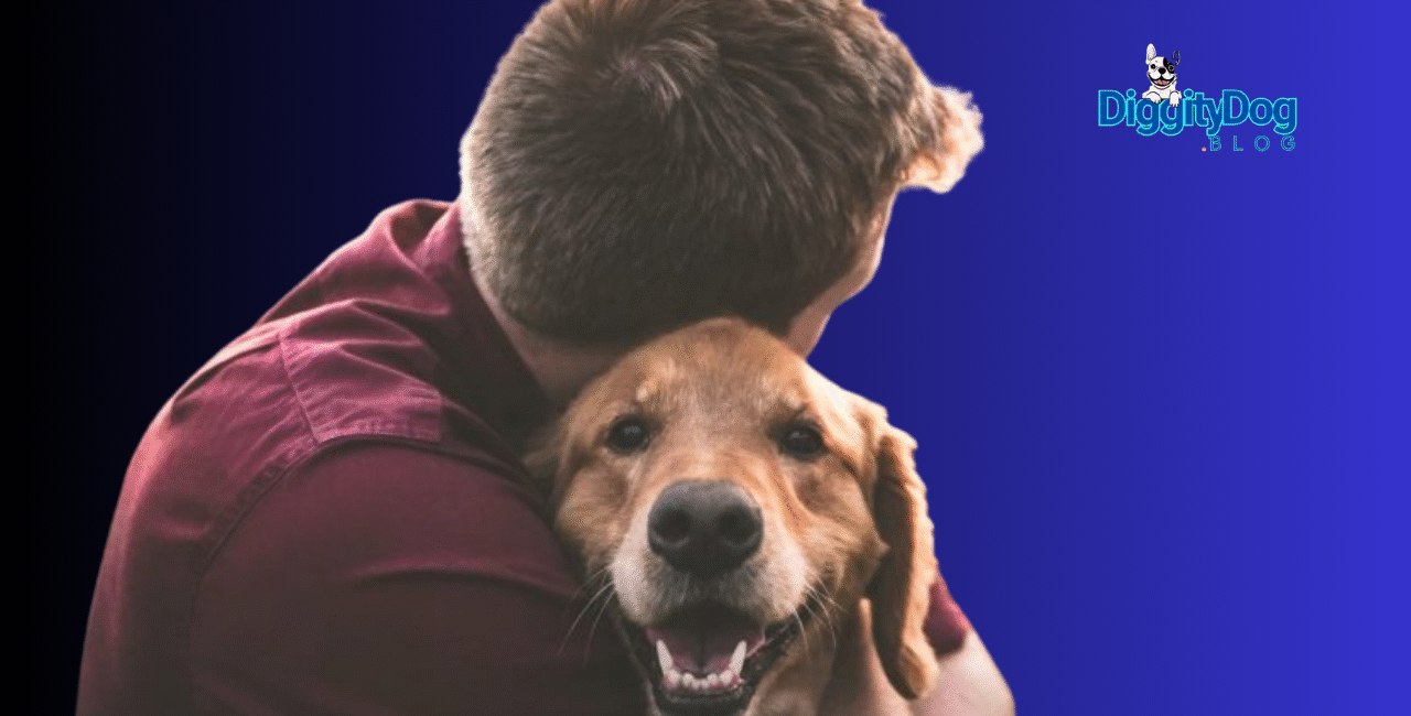 Pet Custody