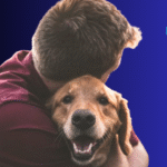 Pet Custody