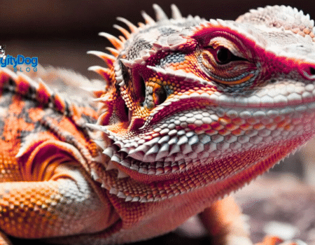 Reptile in Westchester