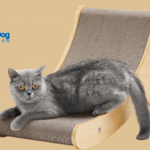 Cat Scratching Posts in 2025