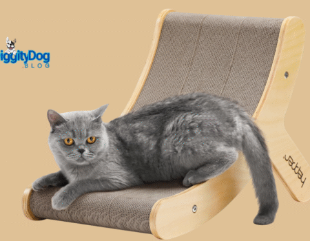 Cat Scratching Posts in 2025