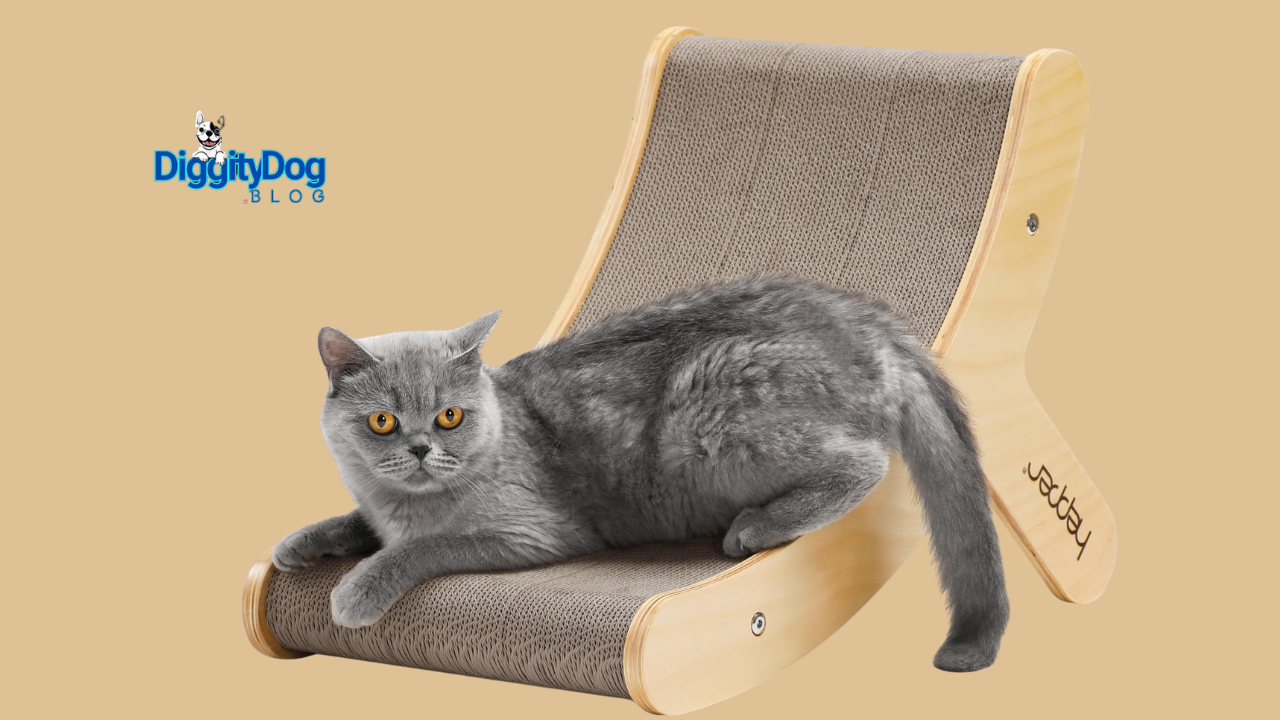 Cat Scratching Posts in 2025