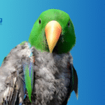 Understanding Stress in Parrots