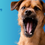 Dog Is Choking