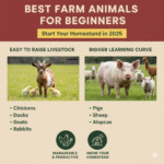 Best Farm Animals for Beginners