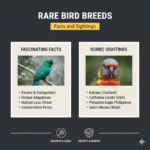 Rare Bird Breeds