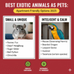 Best Exotic Animals as Pets