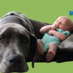 Dog and Baby Best Friends