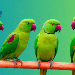 Talking Parrot Saying Funny Things