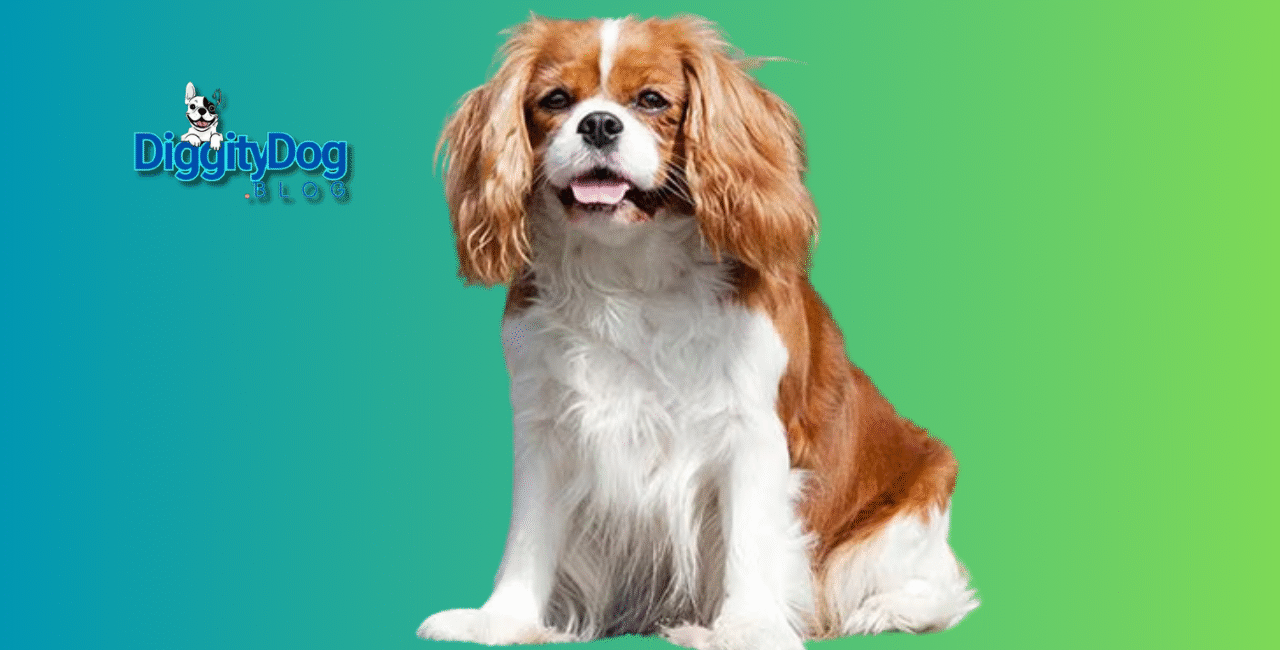 10 Best Dog Breeds for First Time Owners