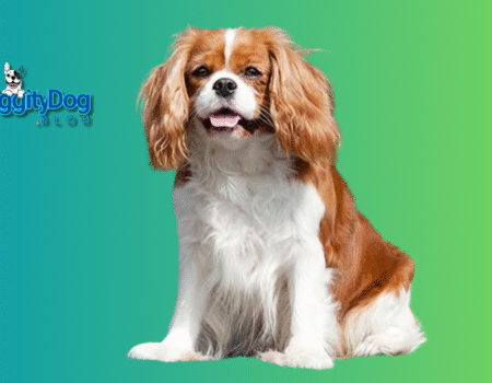 10 Best Dog Breeds for First Time Owners