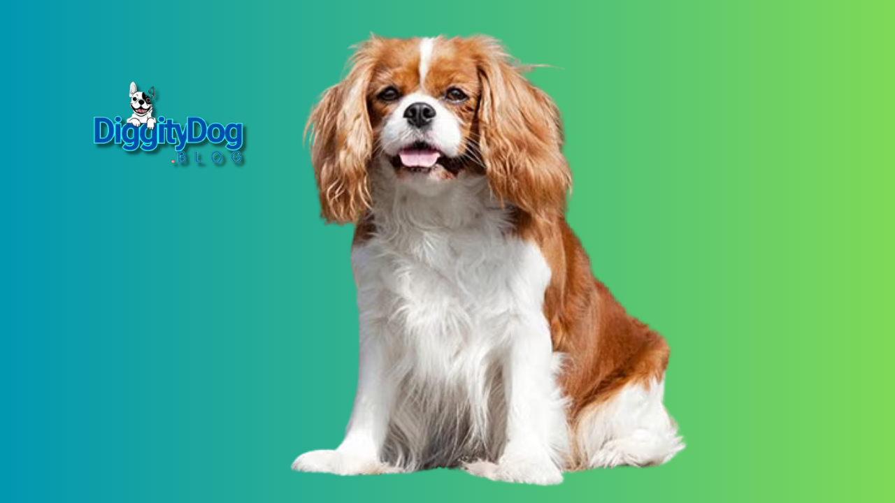 10 Best Dog Breeds for First Time Owners