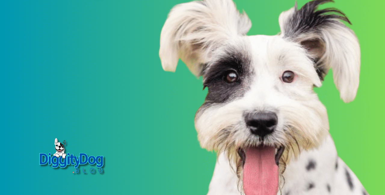 Rescue Dogs for Adoption Near Me