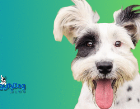 Rescue Dogs for Adoption Near Me