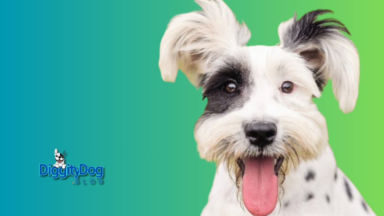 Rescue Dogs for Adoption Near Me