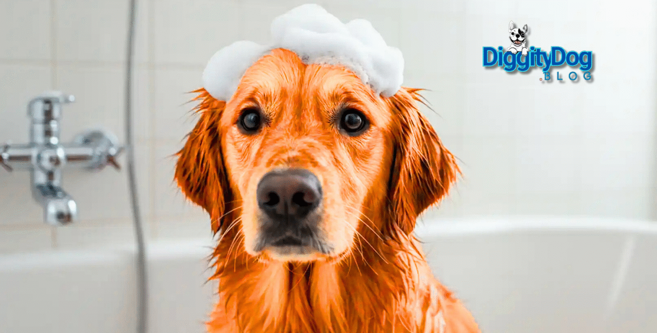 Rooibos Pet Shampoo Benefits