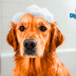 Rooibos Pet Shampoo Benefits