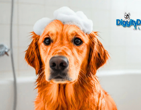 Rooibos Pet Shampoo Benefits