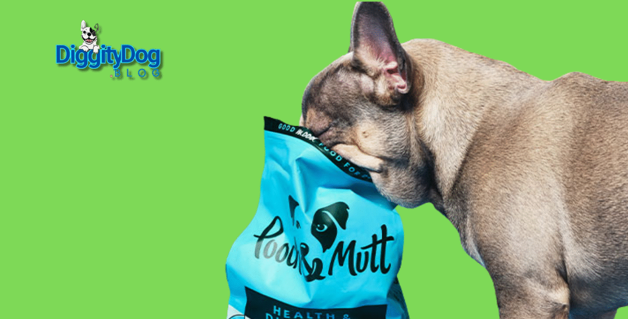 Dog Probiotics Benefits