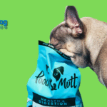 Dog Probiotics Benefits