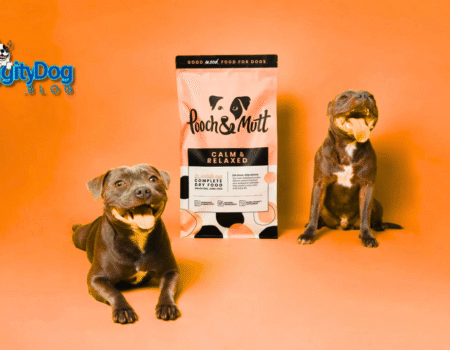 Calming Chews for Dogs