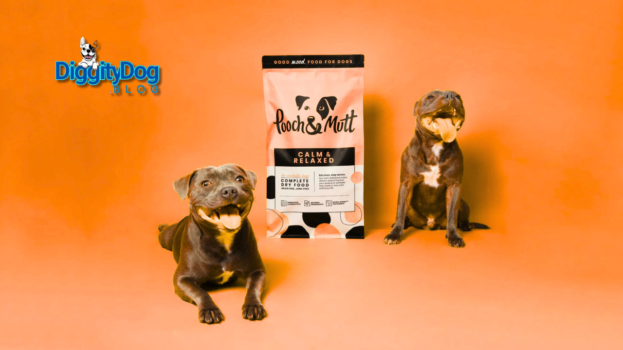 Calming Chews for Dogs