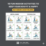 10 Fun Indoor Activities to Keep Your Dog