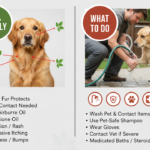 Can Dogs Get Poison Ivy