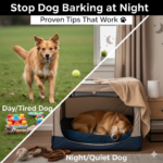 Stop Dog Barking at Night
