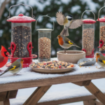 Ultimate Winter Bird Feeding Tips
