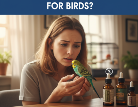 Are Essential Oils Safe for Birds