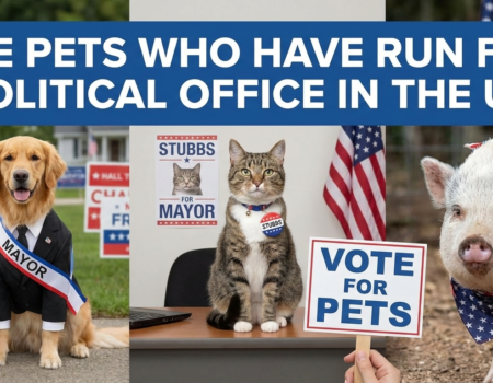 Pets Who Have Run for Political Office