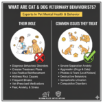Cat and Dog Veterinary Behaviorists