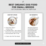 Best Organic Dog Food for Small Breeds