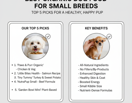 Best Organic Dog Food for Small Breeds