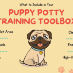 How to Handle Puppy Excited Pee
