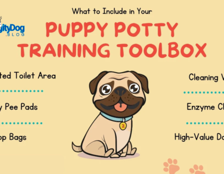 How to Handle Puppy Excited Pee