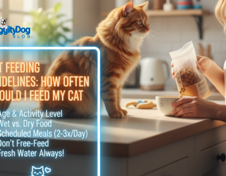 Cat Feeding Guidelines