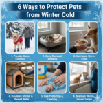 6 Ways to Protect Pets from Winter Cold