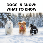 Dogs in Snow