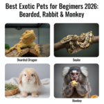 Best Exotic Pets for Beginners 2026
