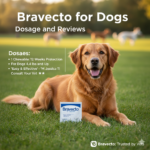 Bravecto for Dogs
