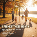 Canine Fitness Month: Ways to Work Out with Your Dog