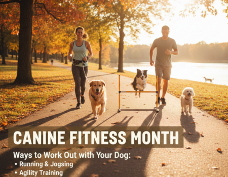Canine Fitness Month: Ways to Work Out with Your Dog